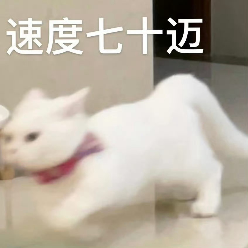表情包库迎来新成员🥰彭儿的表情包都好萌口牙、 