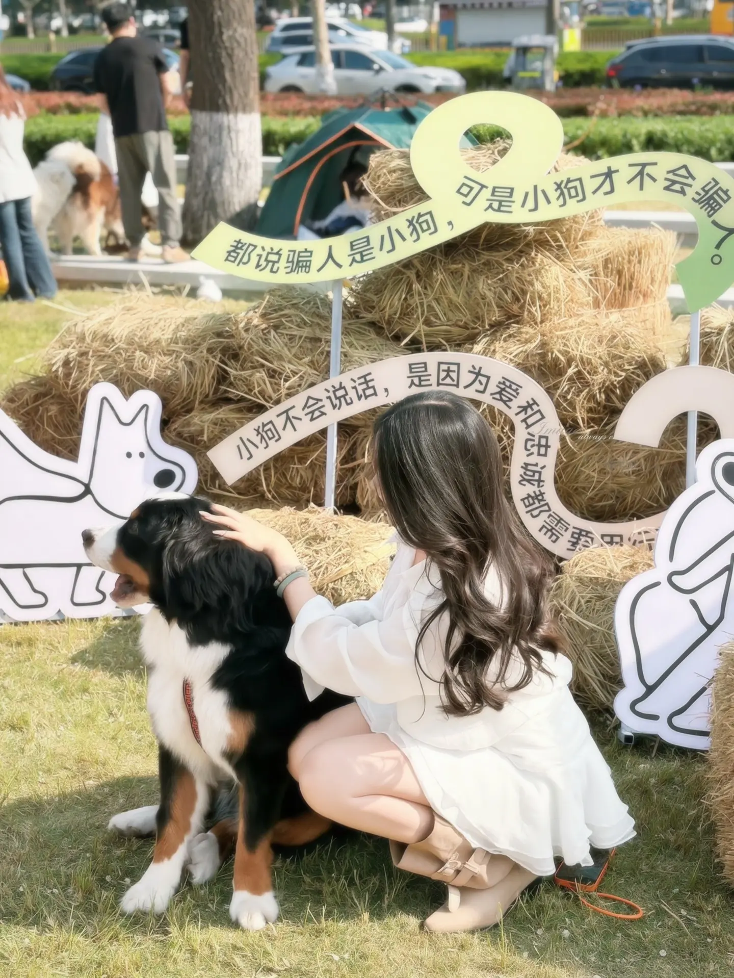 小狗开派对