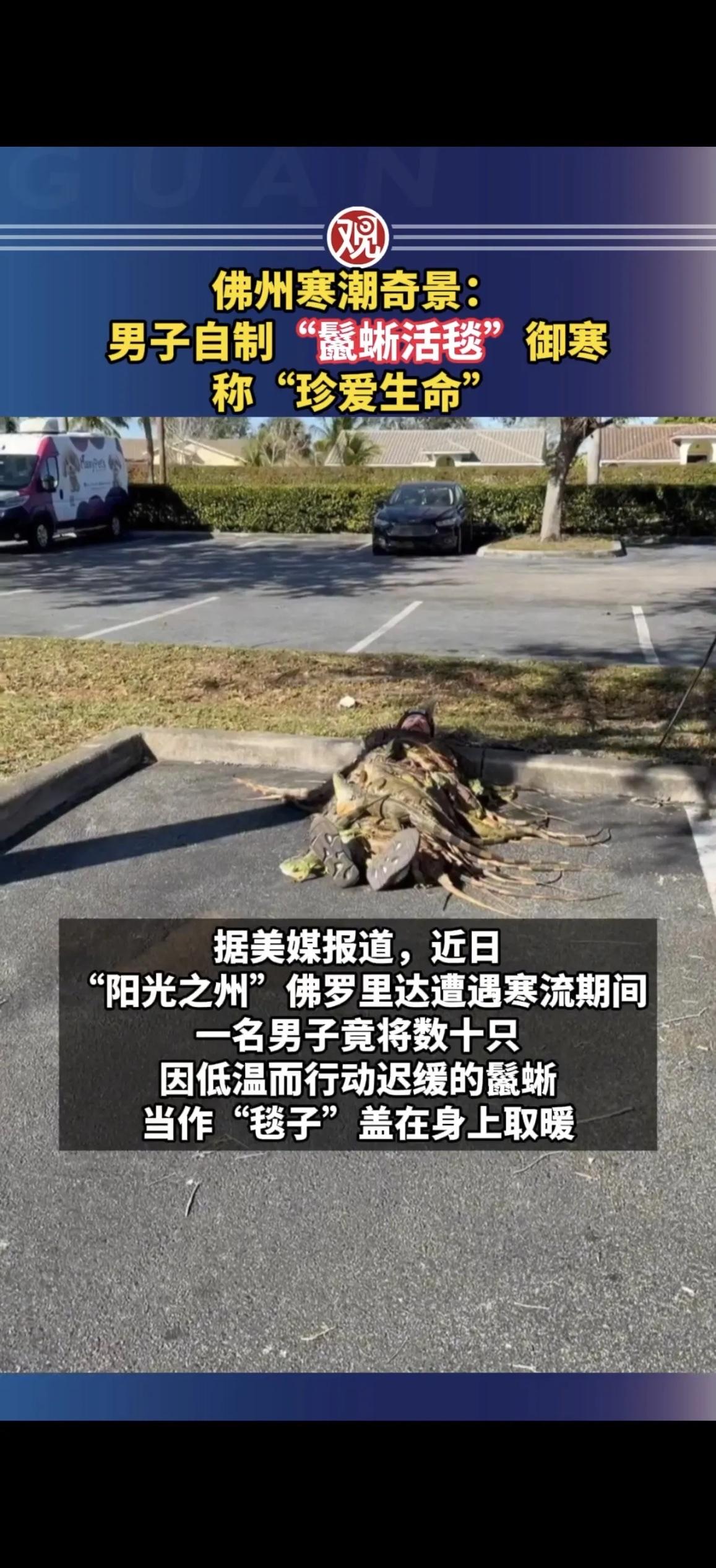 佛罗里达洲此男子色“鬣蜥活毯”不仅不能为他保暖，最后还要让他体温流失！这就有点“