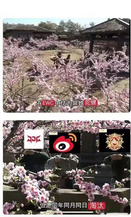 苯人为此次ewc准备了两套说辞