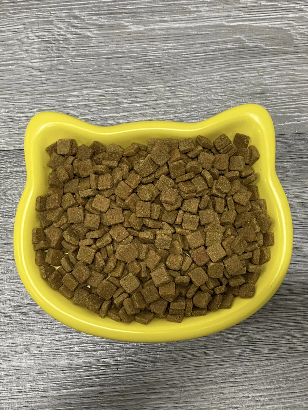 长毛猫终于不乱掉毛了