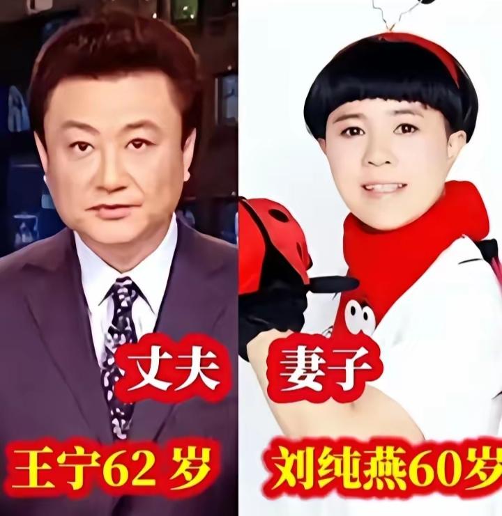 王宁刘纯燕
王吉财张蕾
密春雷董卿
三对央视名嘴夫妻同框，你喜欢哪一对呢？