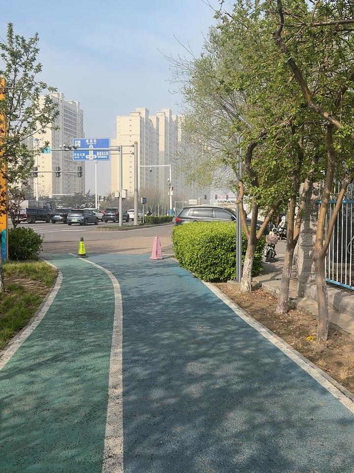 辞职回家专养狗，
她的钱从哪里来？
若有一天她带货，
谁肯为她而破财？
其实怪事