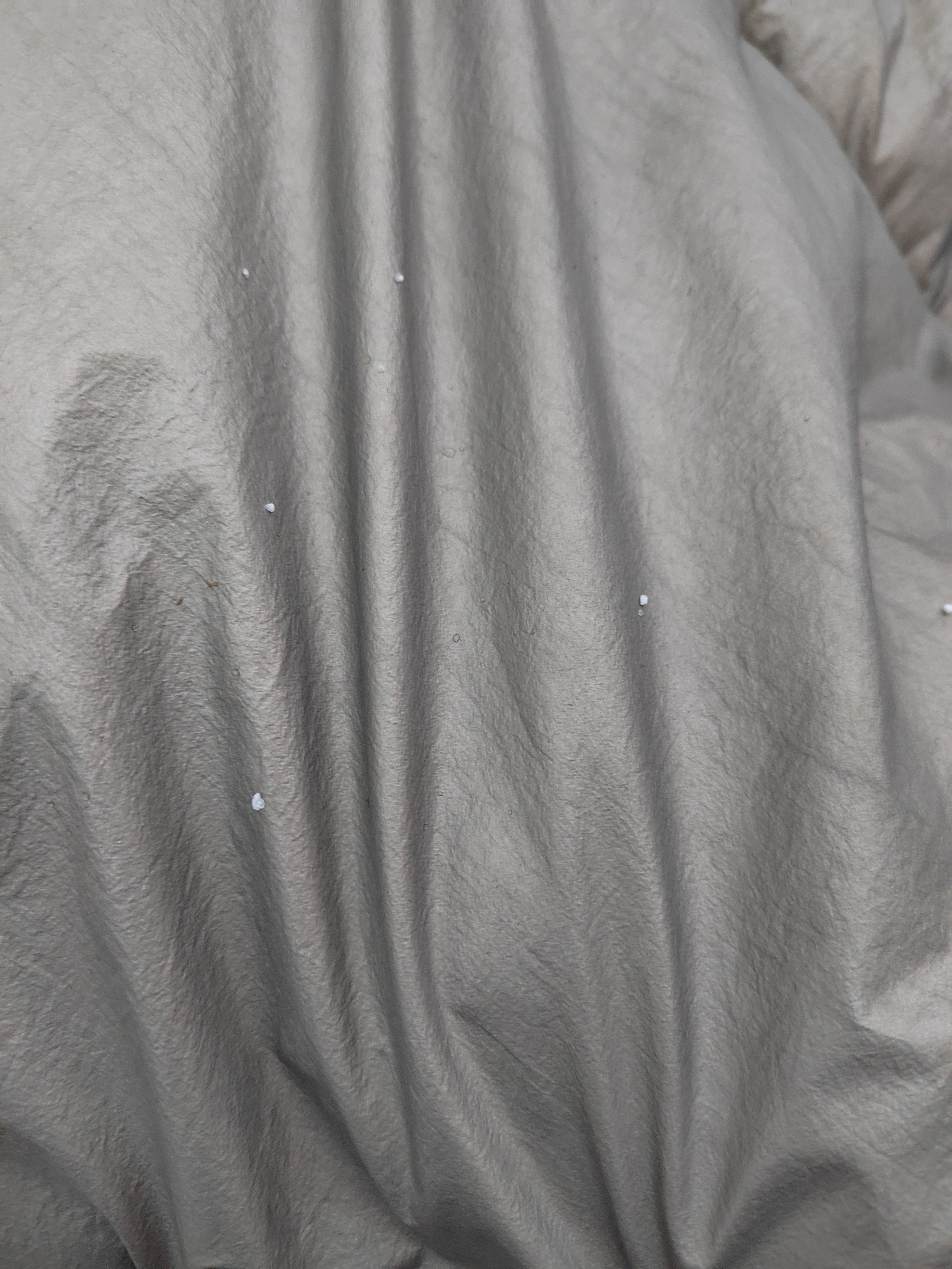 出来时还好好的一会竟然哗哗哗下雪蛋蛋儿了打在脸上还挺疼咱们空间站过年氛围拉满了 