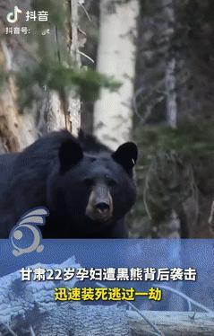 命不是一般的大！甘肃一22岁孕妇放牧时，竟被黑熊从背后偷袭，脑袋遭到黑熊的猛烈撕
