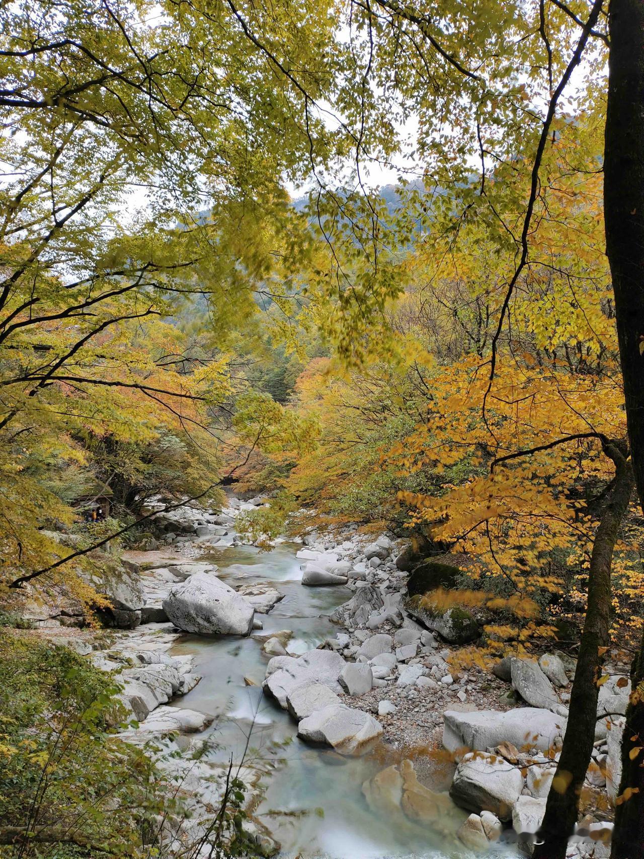 琼瑶86岁选择了轻生，她一生不缺钱，死后还有25亿的遗产。她的故事告诉我们，不要