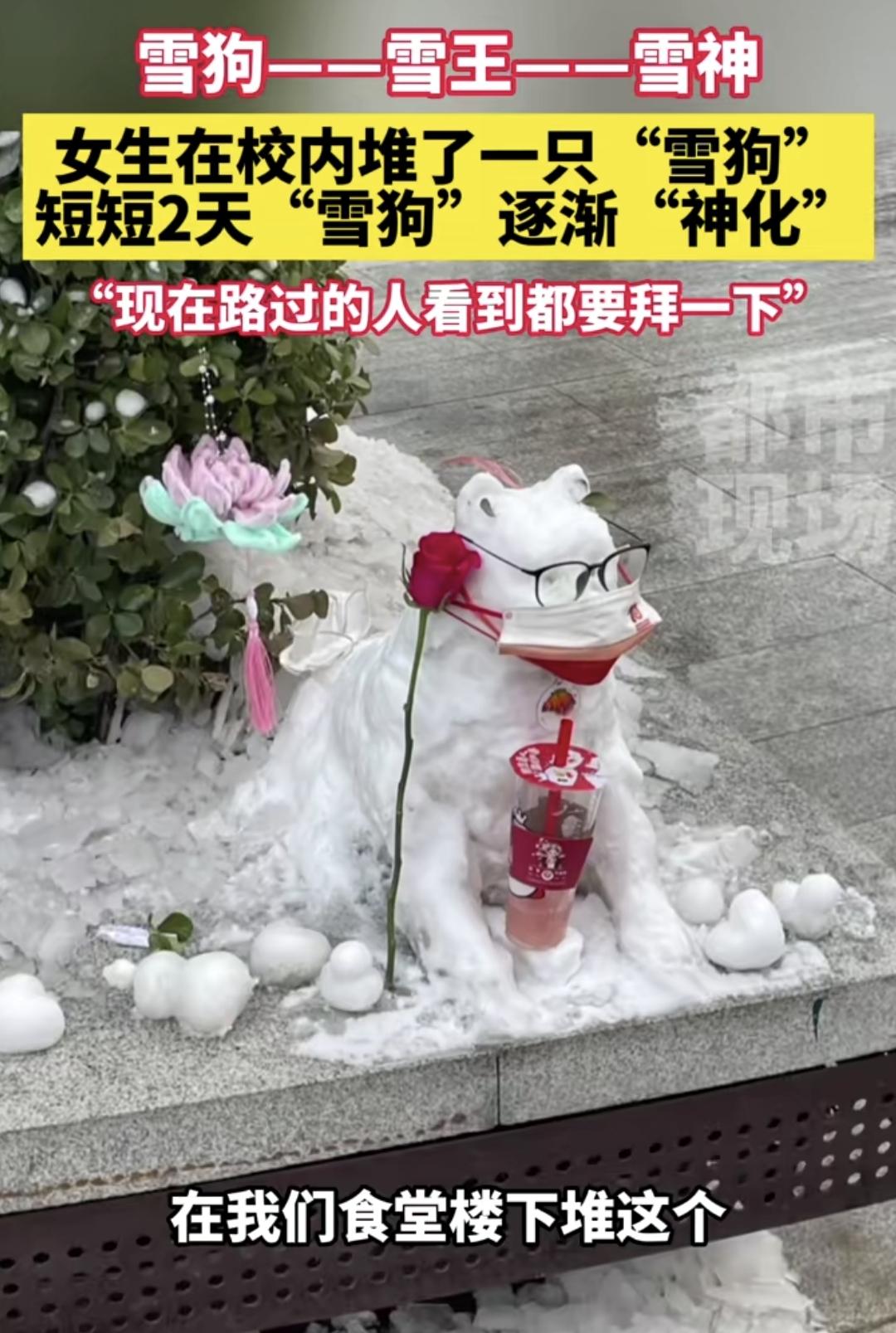 #女生堆的雪狗逐渐神化# 近日北京，一高校女生夜间在校园内堆了一只“雪狗”，随后