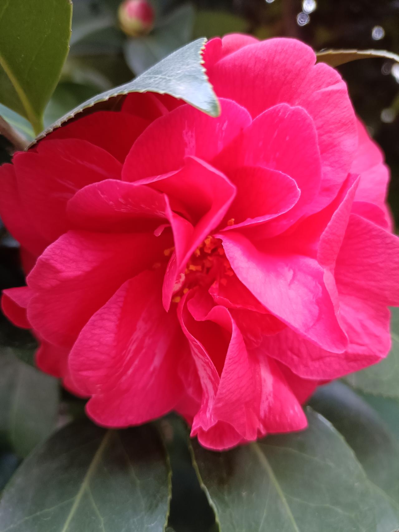 给自己一句爱自己的话，你会说什么