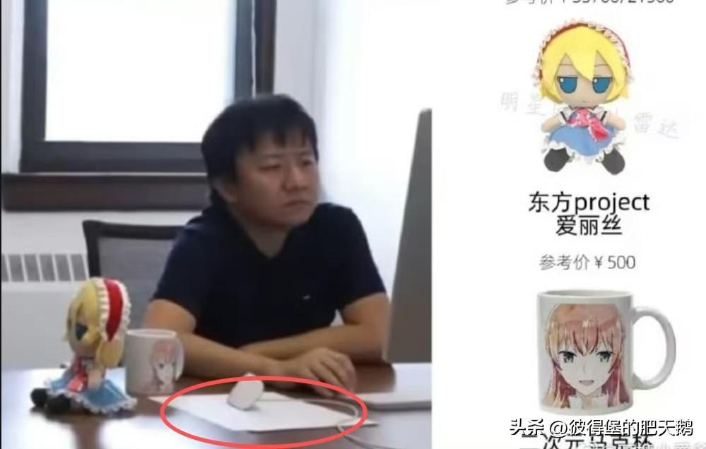 我敢肯定，二次元大佬、中国首位本土菲尔兹奖得主数学家邓煜，把他的欧派鼠标垫给藏起