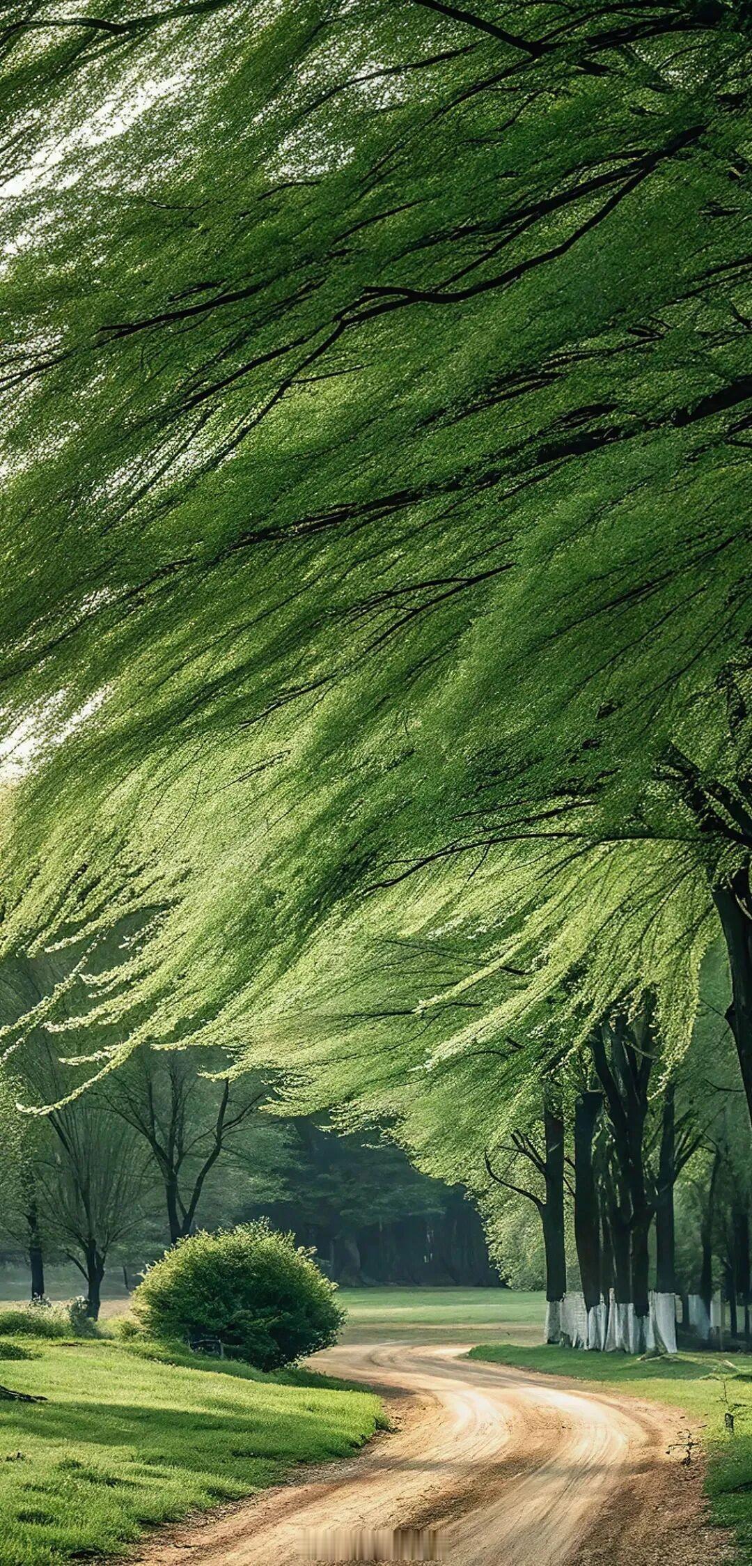 “如果你看向我，我会温柔地消融，像火山中的雪。”——米亚·科托《耶路撒冷》早安