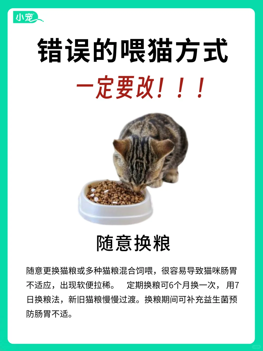 别再这样喂猫了！这些喂猫方式一定要改