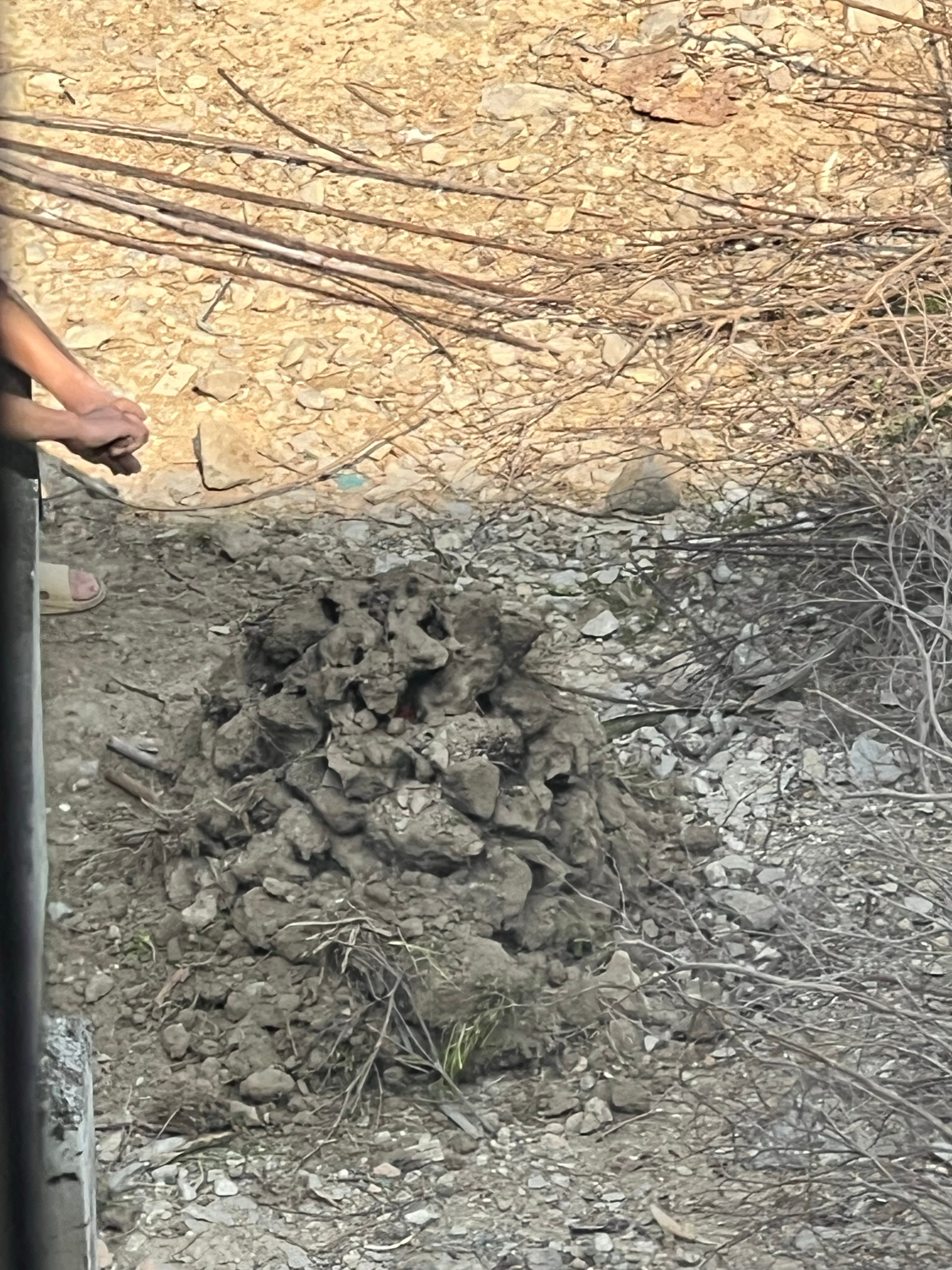 今早一起来就闻到了很香的那种烧泥土的味道～想着以为是谁这么一早就窑鸡了啊～结果往