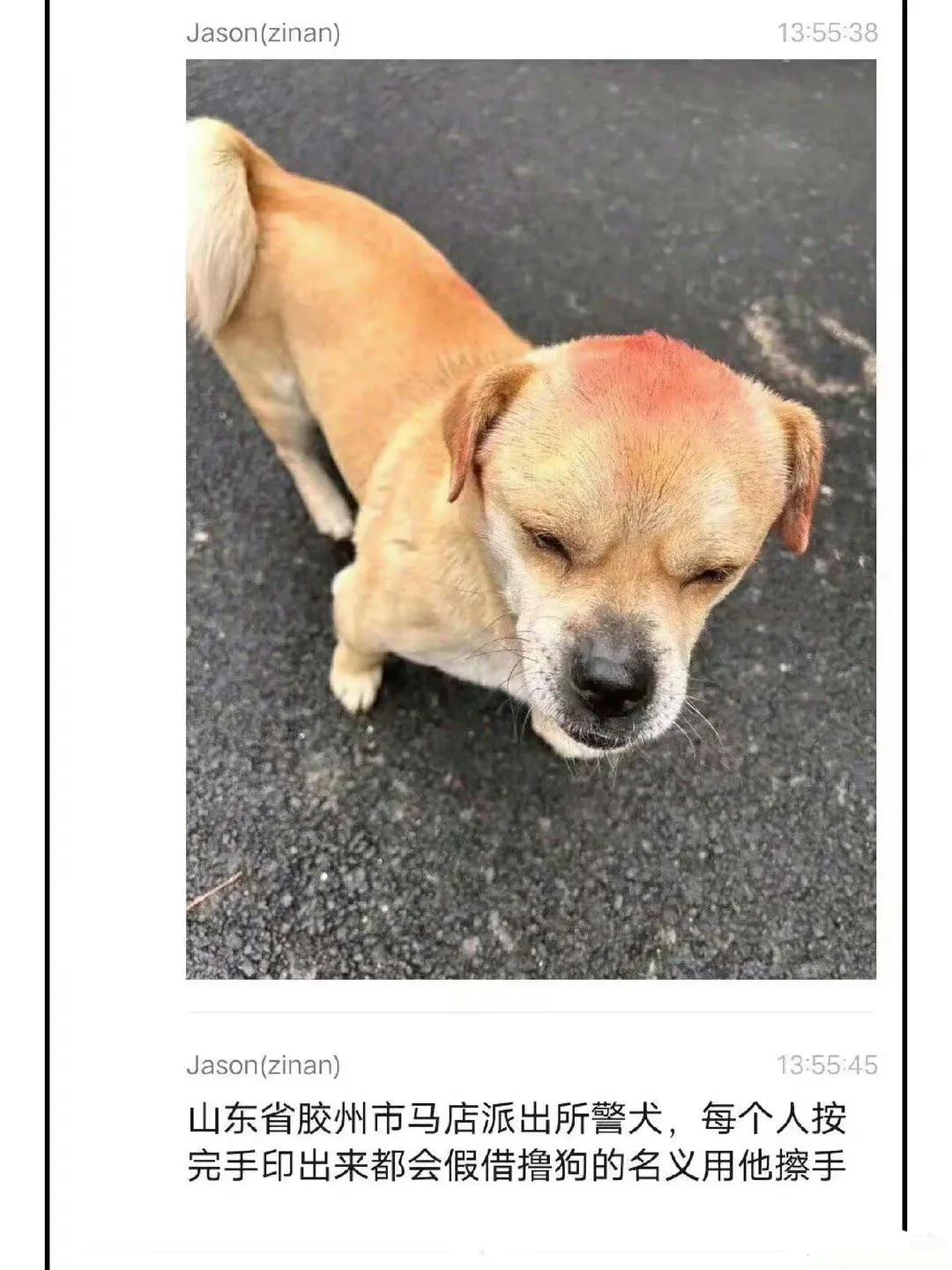 派出所门口的警犬，那个按完手印的人都会出来假借摸狗的名义擦手