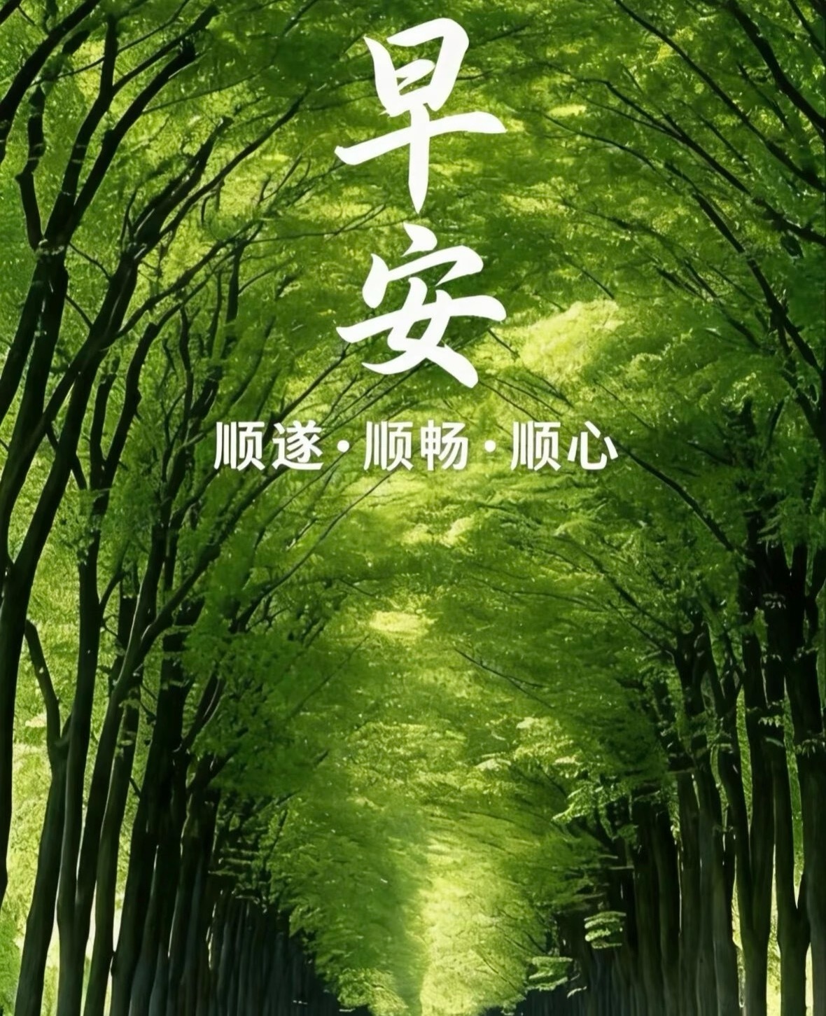 早安  ²⁰²⁶/₀₇.₁₀ᵕ̈ 𝒢𝓇ℯℯ𝓃 ℒ𝒾𝒻ℯ 🦜🍃盛夏的