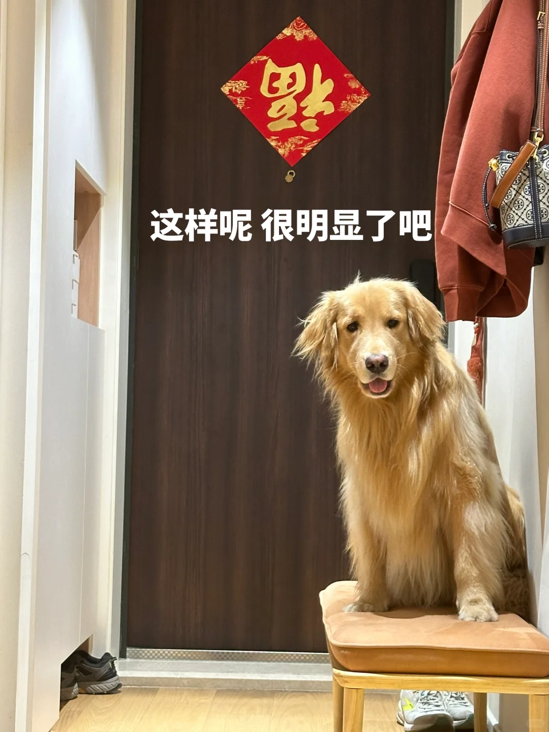 土豆：我申请出去玩