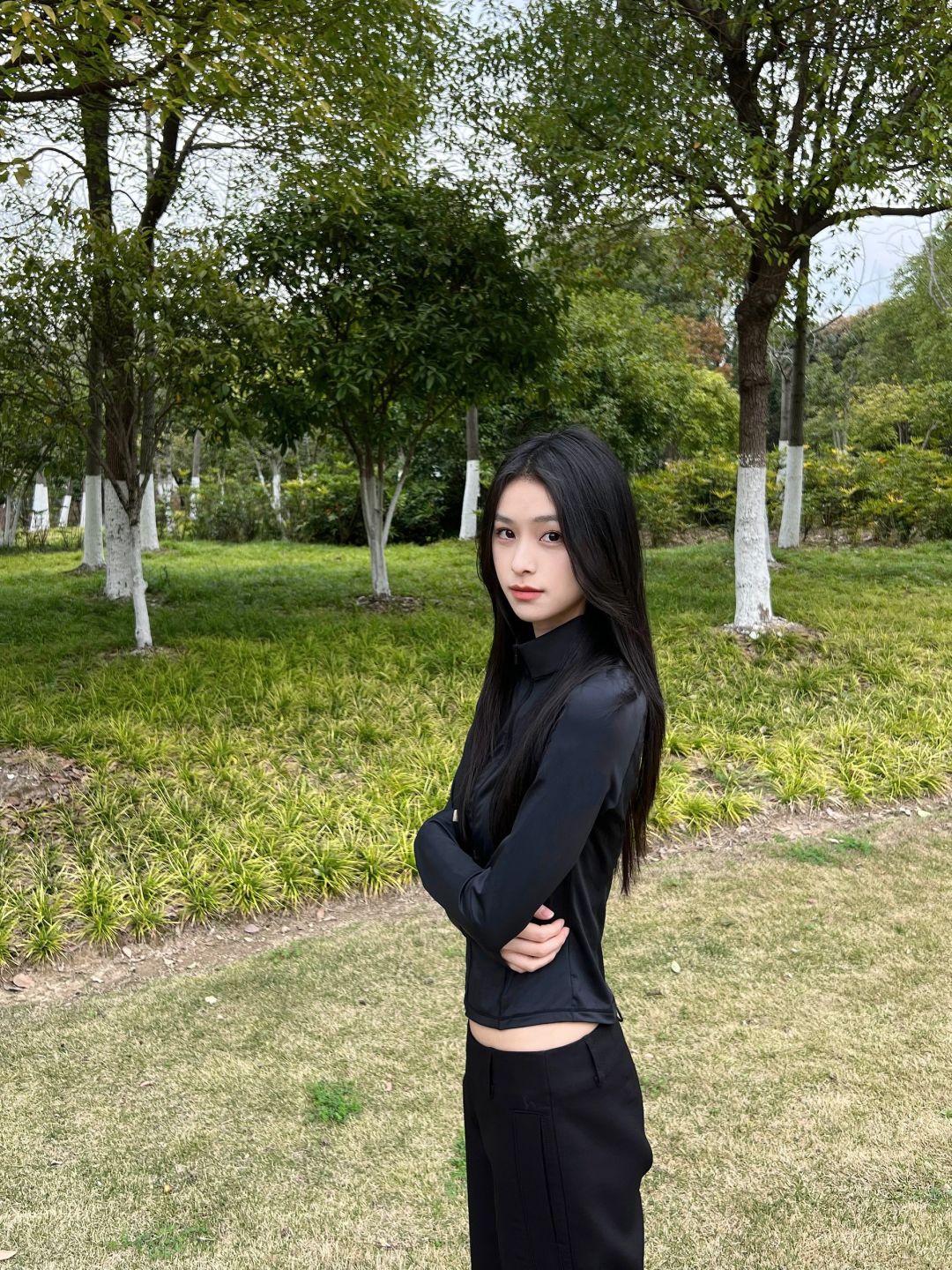 ☀️🌳☁️