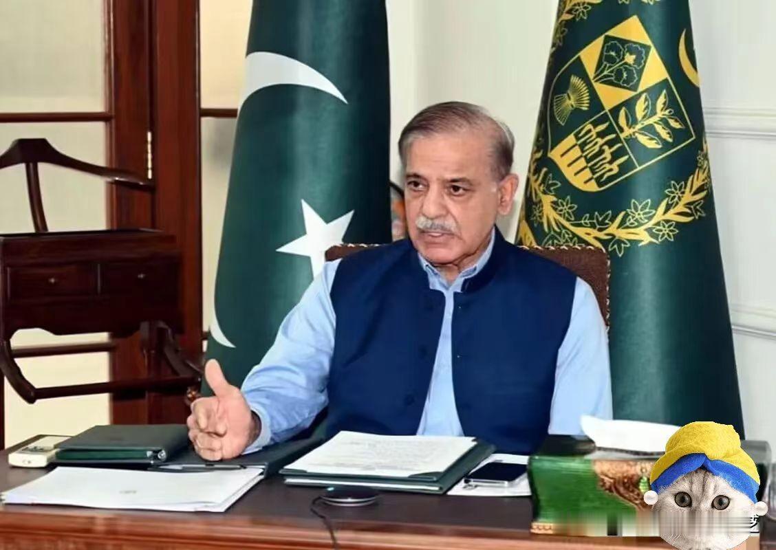 快讯！快讯！
巴基斯坦宣布：加入由特朗普担任主席的“和平委员会”！就在同一天，中