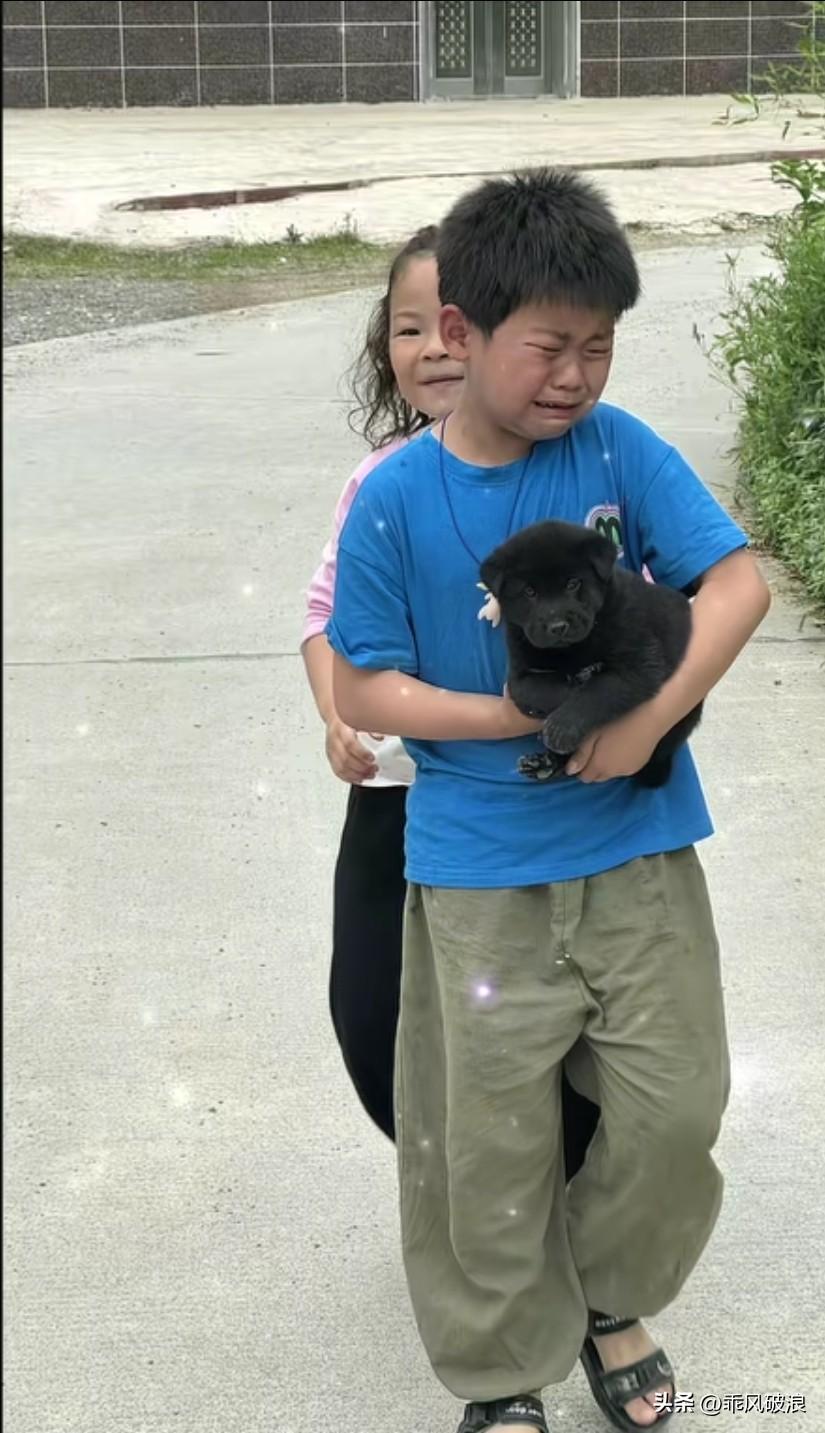 小孩捡回来的小狗，养了一年后要和它告别。狗狗情感纯粹又破碎，紧紧贴着小主人，呜呜