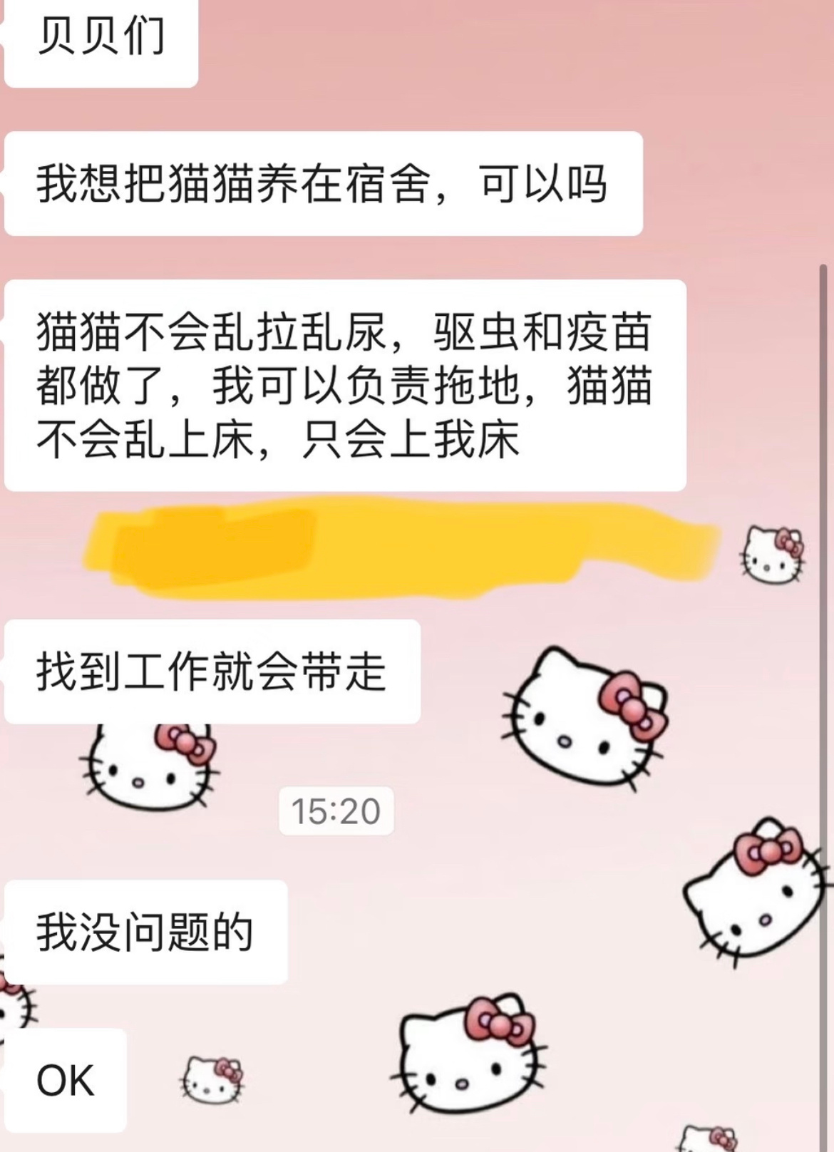 舍友要把猫养在宿舍怎么办啊……