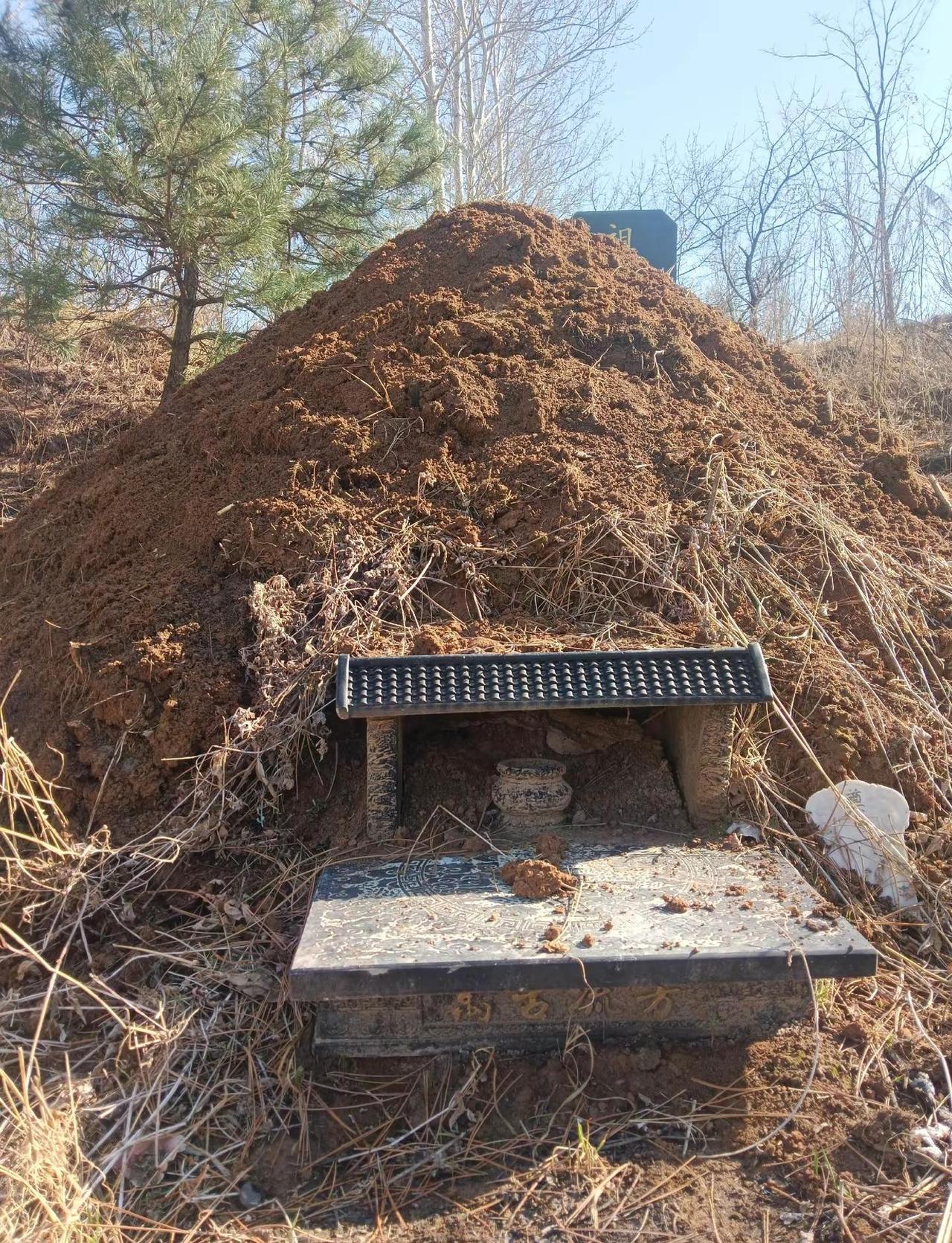 清明祭祖注意安全 清明节倡议 封山禁火令