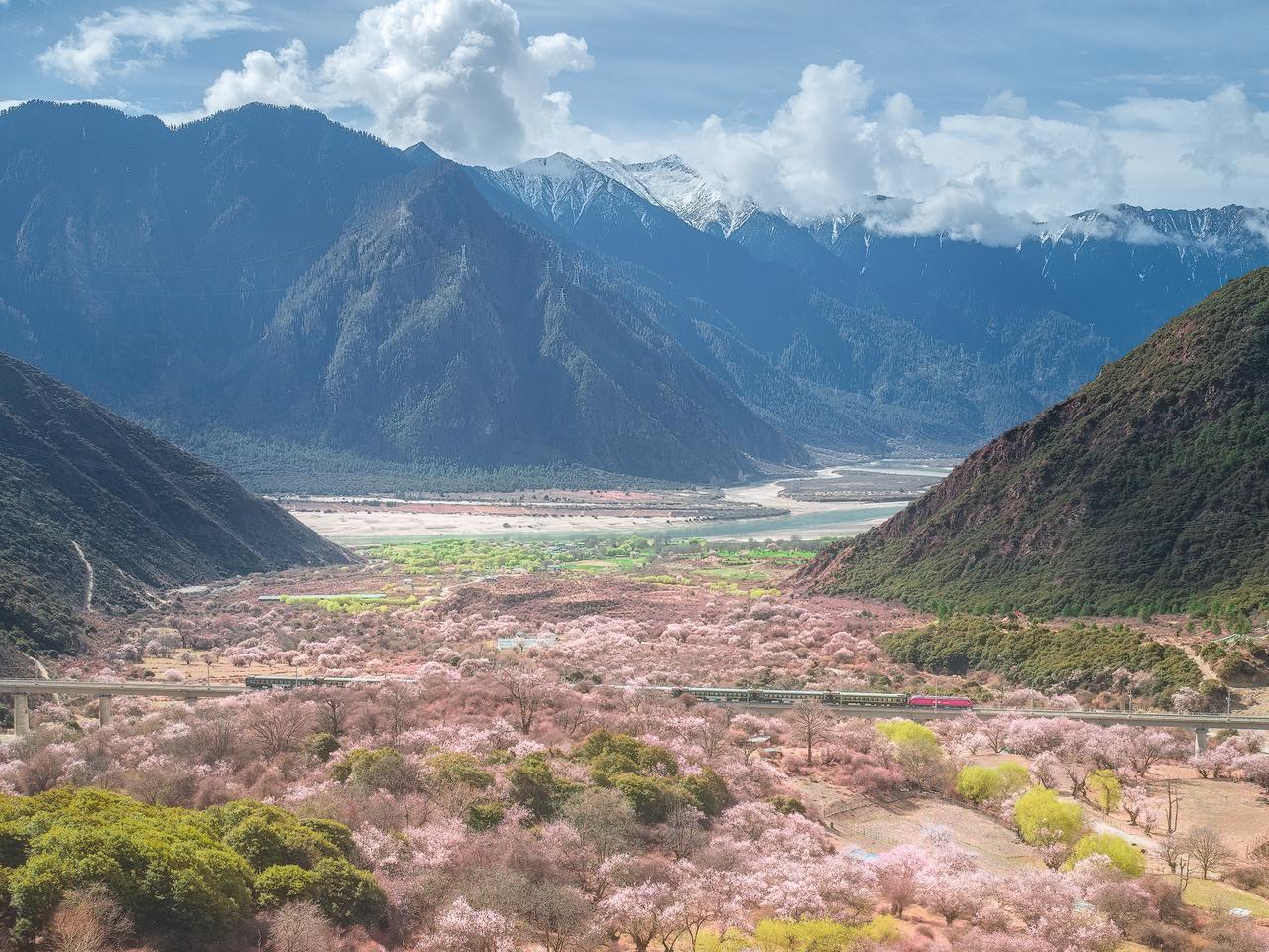 从拉萨到林芝坐火车的途中，我看到窗外一大片绝美的桃花林，于是我记下坐标，下火车后