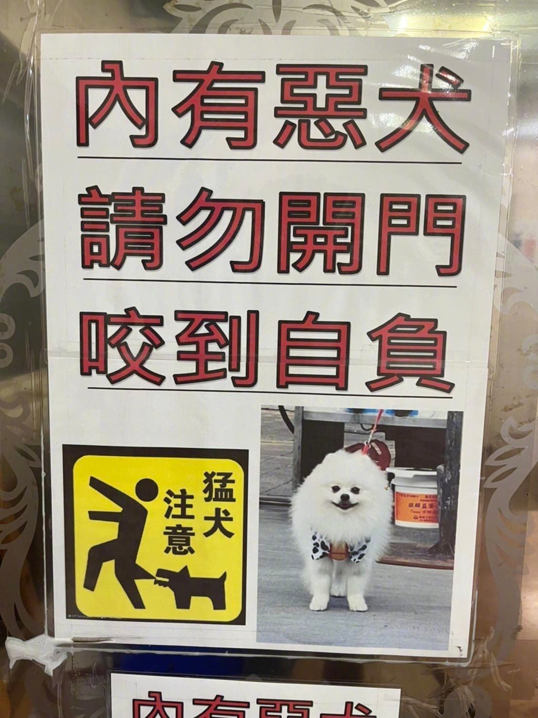 有趣的台湾网图，台湾网友路上观察[照相机]（第84期） ​​​