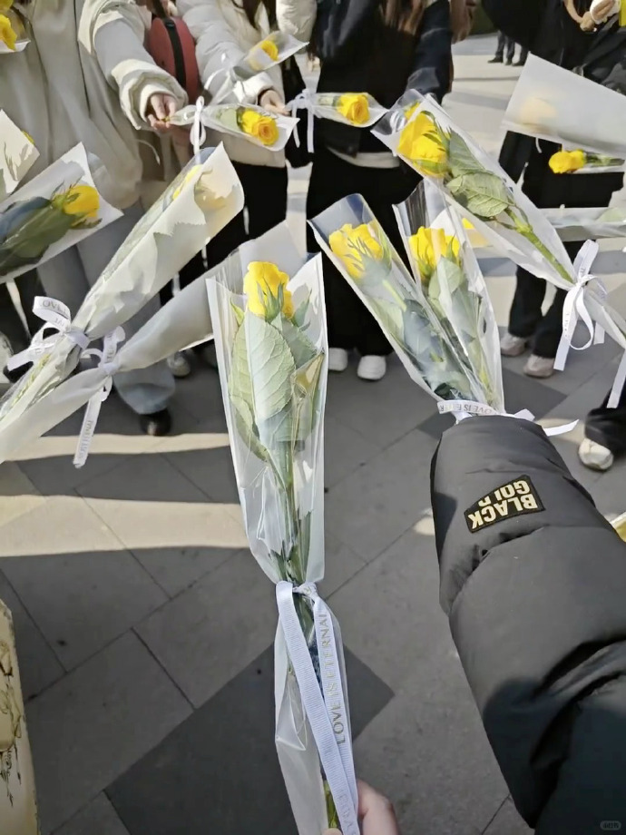 田栩宁f1现场人气田栩宁f1现场图田栩宁f1现场图，田栩宁f1现场人气，谁懂这个