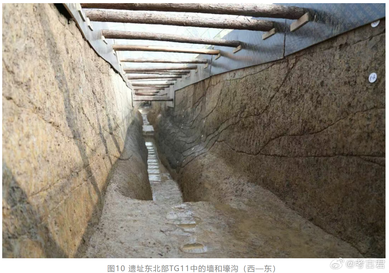 十大考古参评项目 斗山遗址 在江苏无锡斗山，考古工作者首次在长江下游发现了距今约