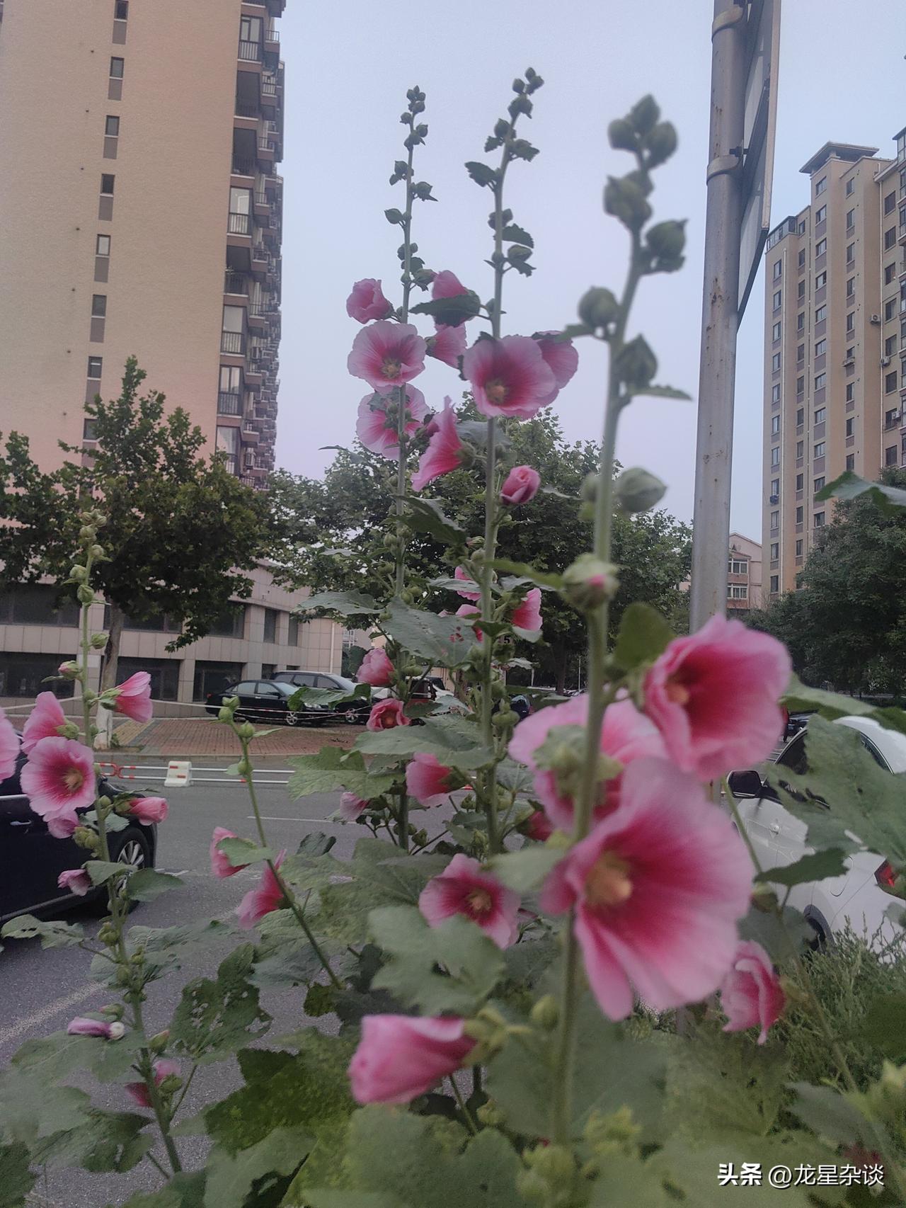 别为明天提前忧虑
 
人这一生，多数的痛苦与疲惫，从来不是来自生活当下的风雨，而