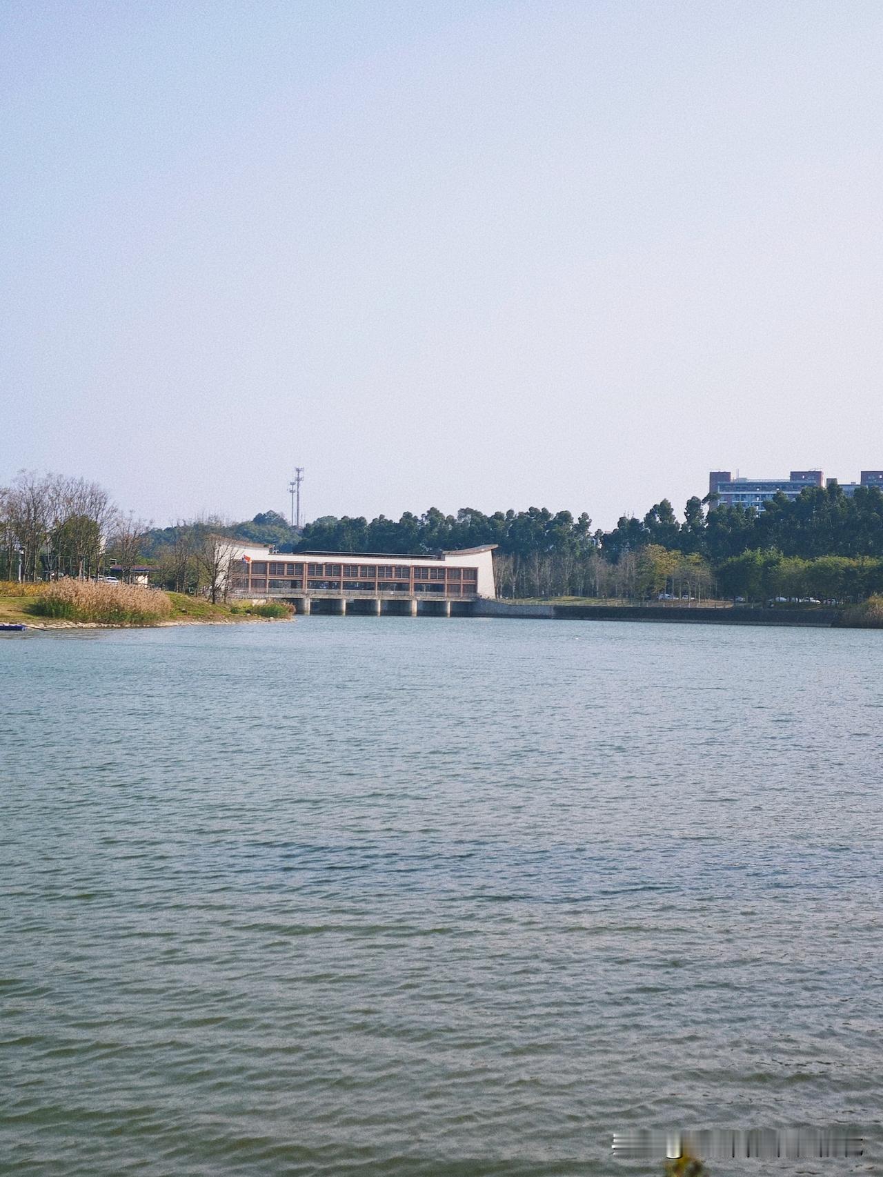 闽侯旗山湖地方是真的大，但有管理，好些地方都不能煮茶闲坐。

偶然发现的这片区域