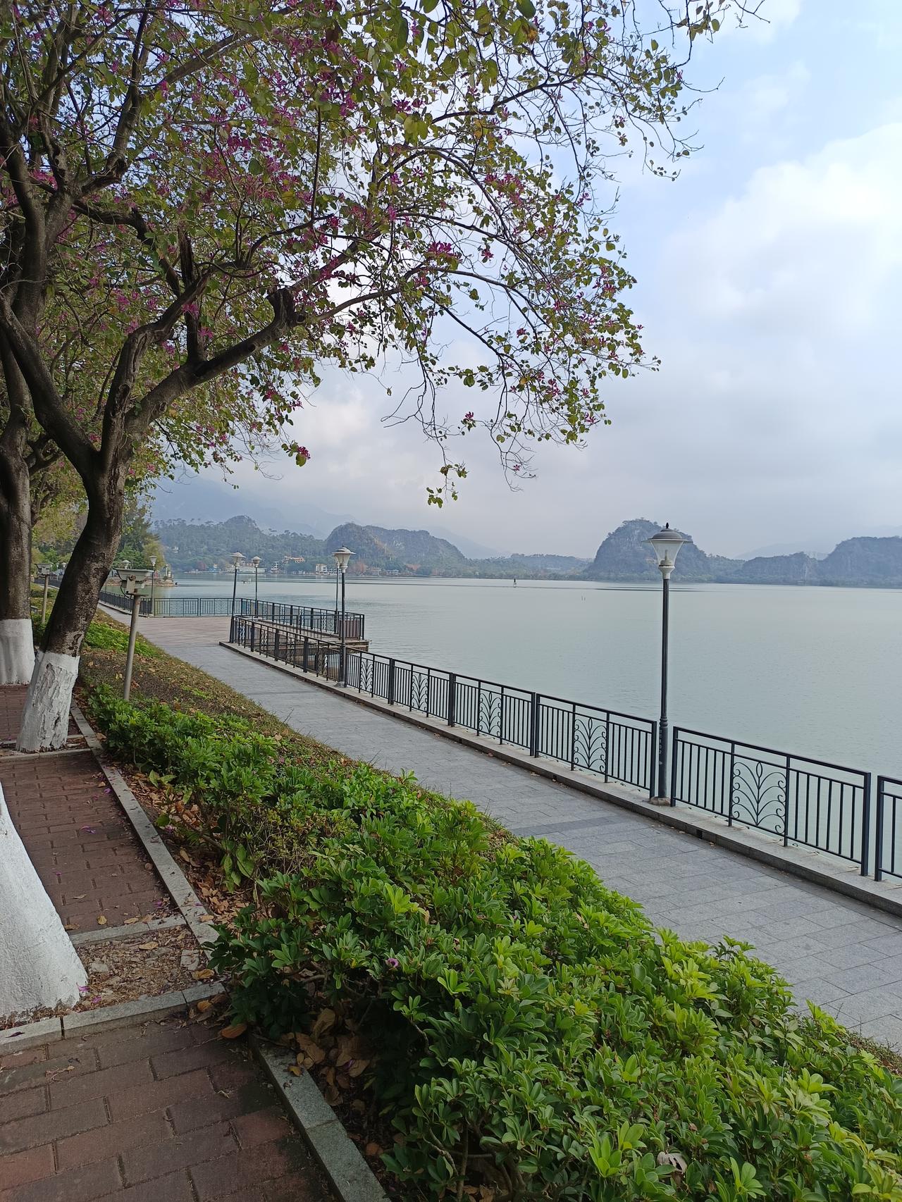 我终于知道了
为什么现在香港明明很落后？
却依然有这么多旅客要去，原来这里的风景