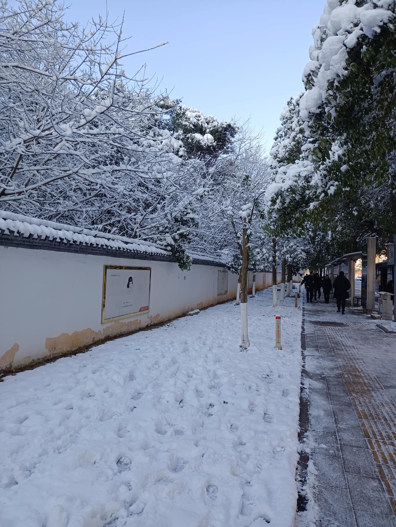 冬日生活打卡季冬天的雪真漂亮