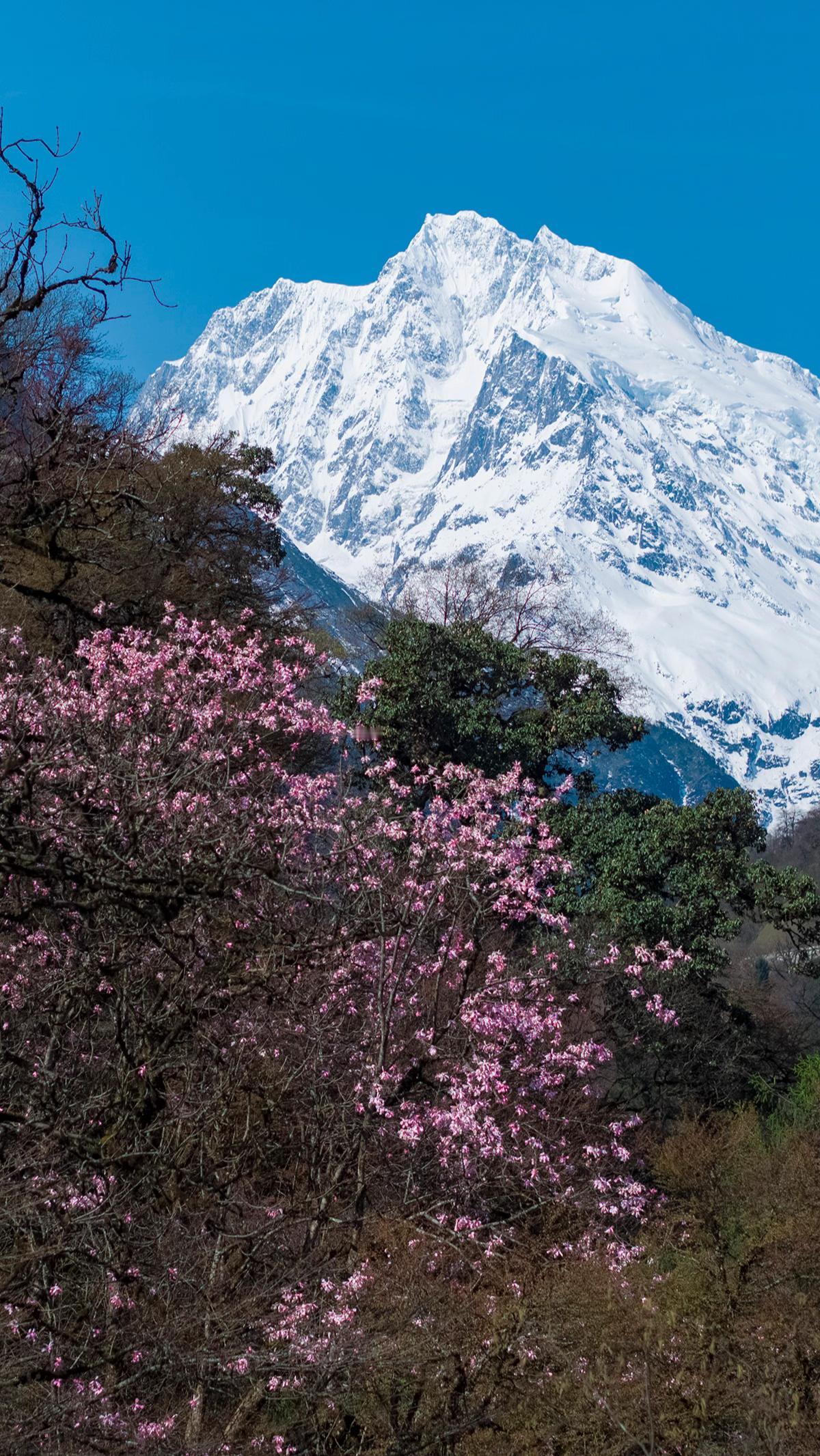 山不见我，我自去见山。