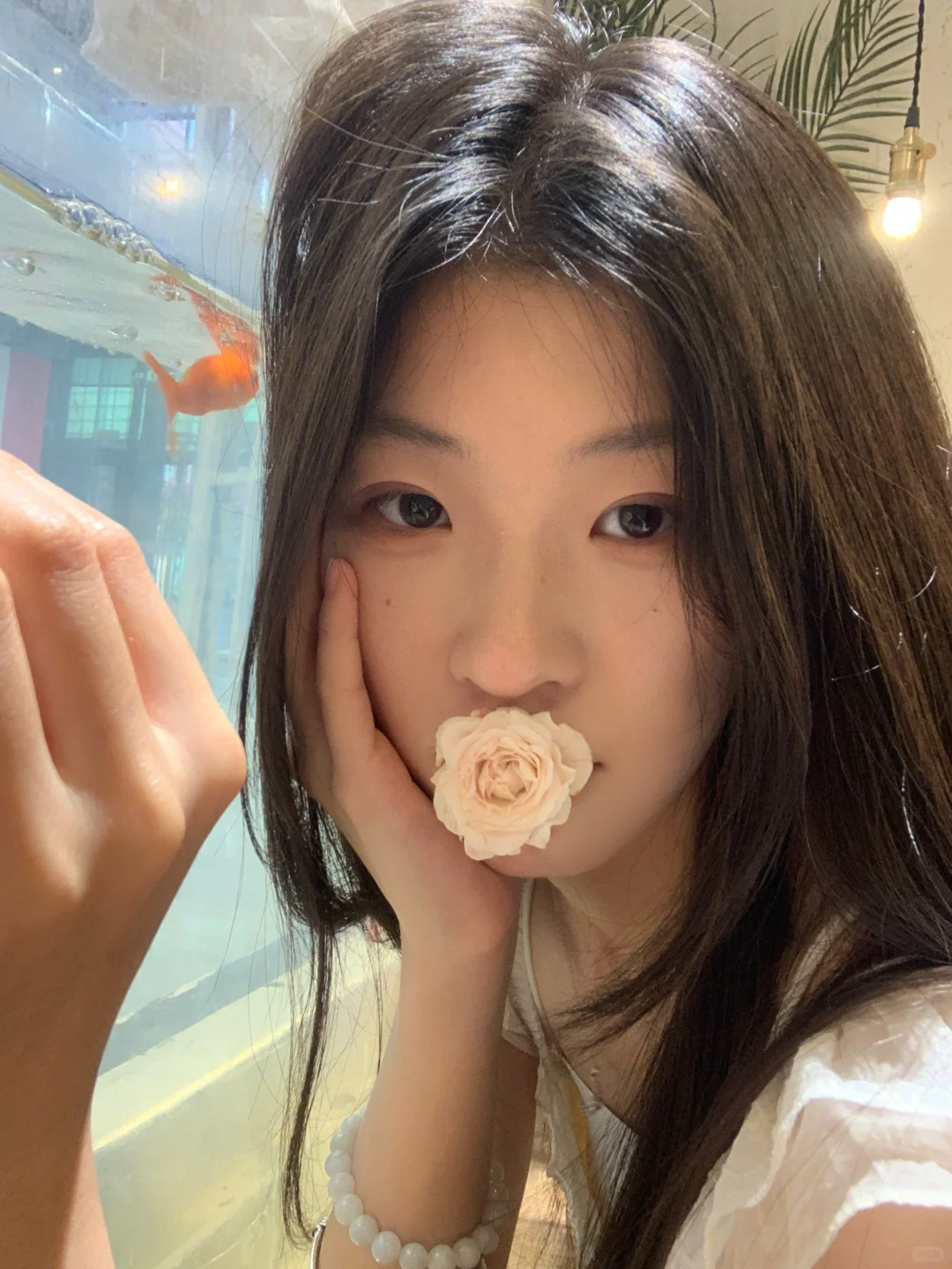 玫瑰