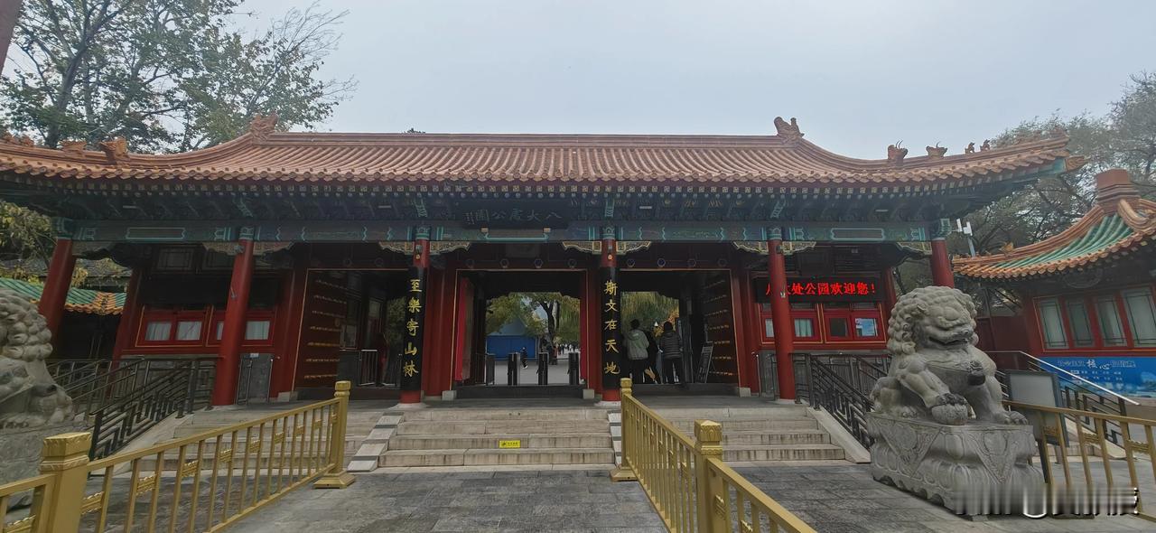 忙碌的一天
中午吃完饭，在八大处公园逛了逛
以前单位工会活动经常组织来这[笑哭]