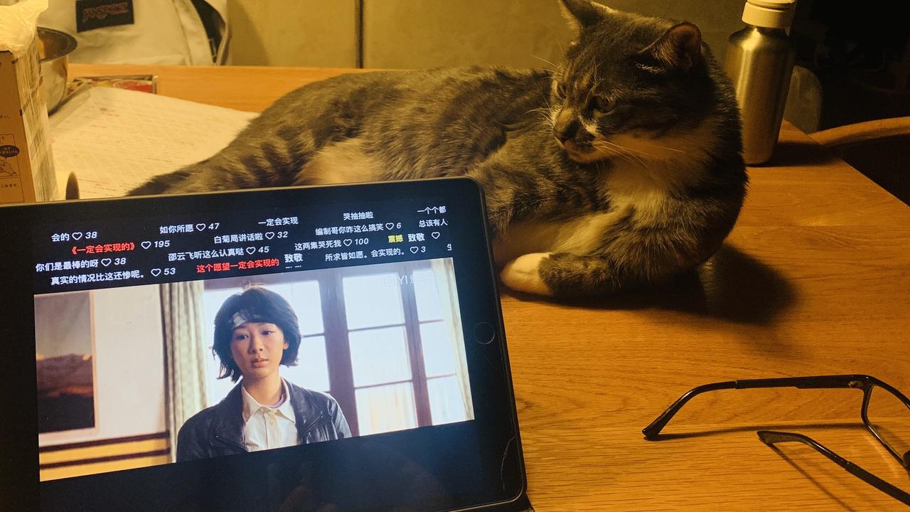 生命树太好看了