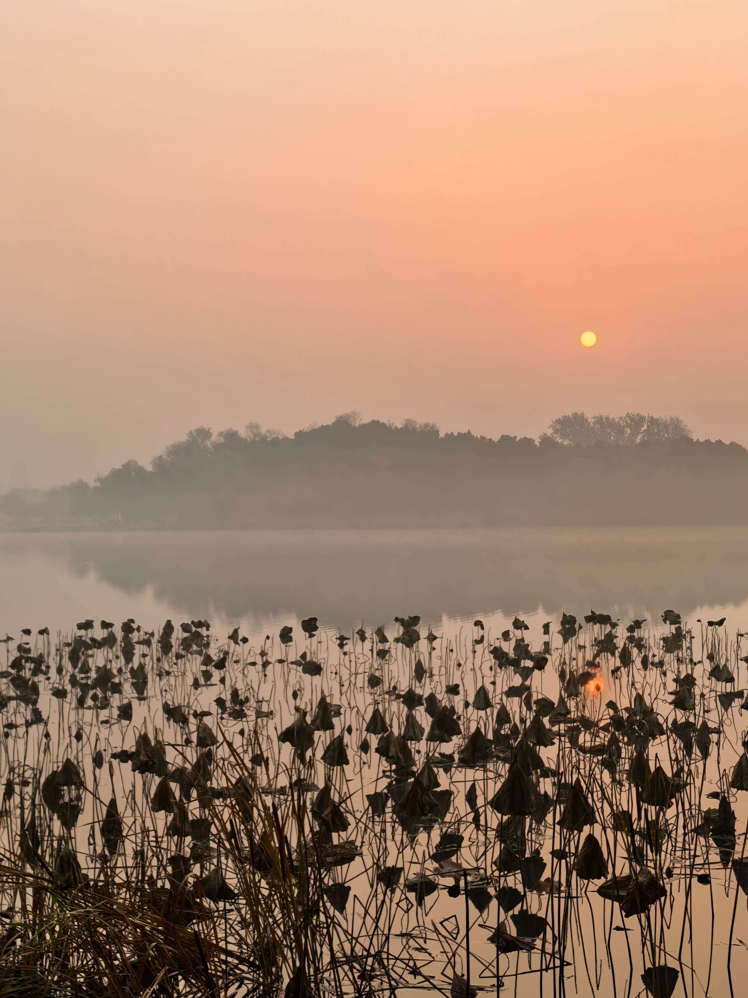 S-妇联的业绩这么炸裂，四季度在三季度高增长的情况下，还环比增长了30%左右，诸