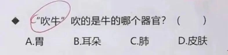 来吧，出个选择题，问“吹牛”吹的是牛身上哪个器官！答案是胃、耳朵、肺、皮肤中四选