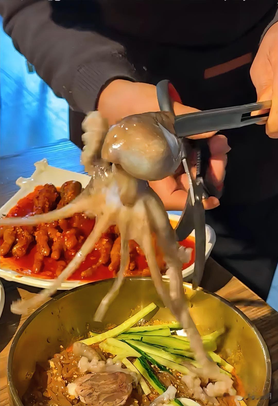 活章鱼面，你敢吃不？我敢吃，但总有些下不去嘴，总觉得这种吃法太残忍。真不明白人类