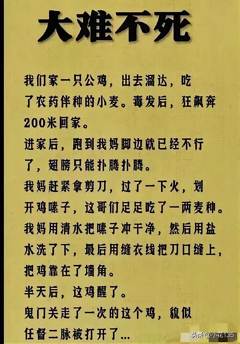简单粗暴还很有效
救鸡一命
胜造六级浮屠啊[泪奔]