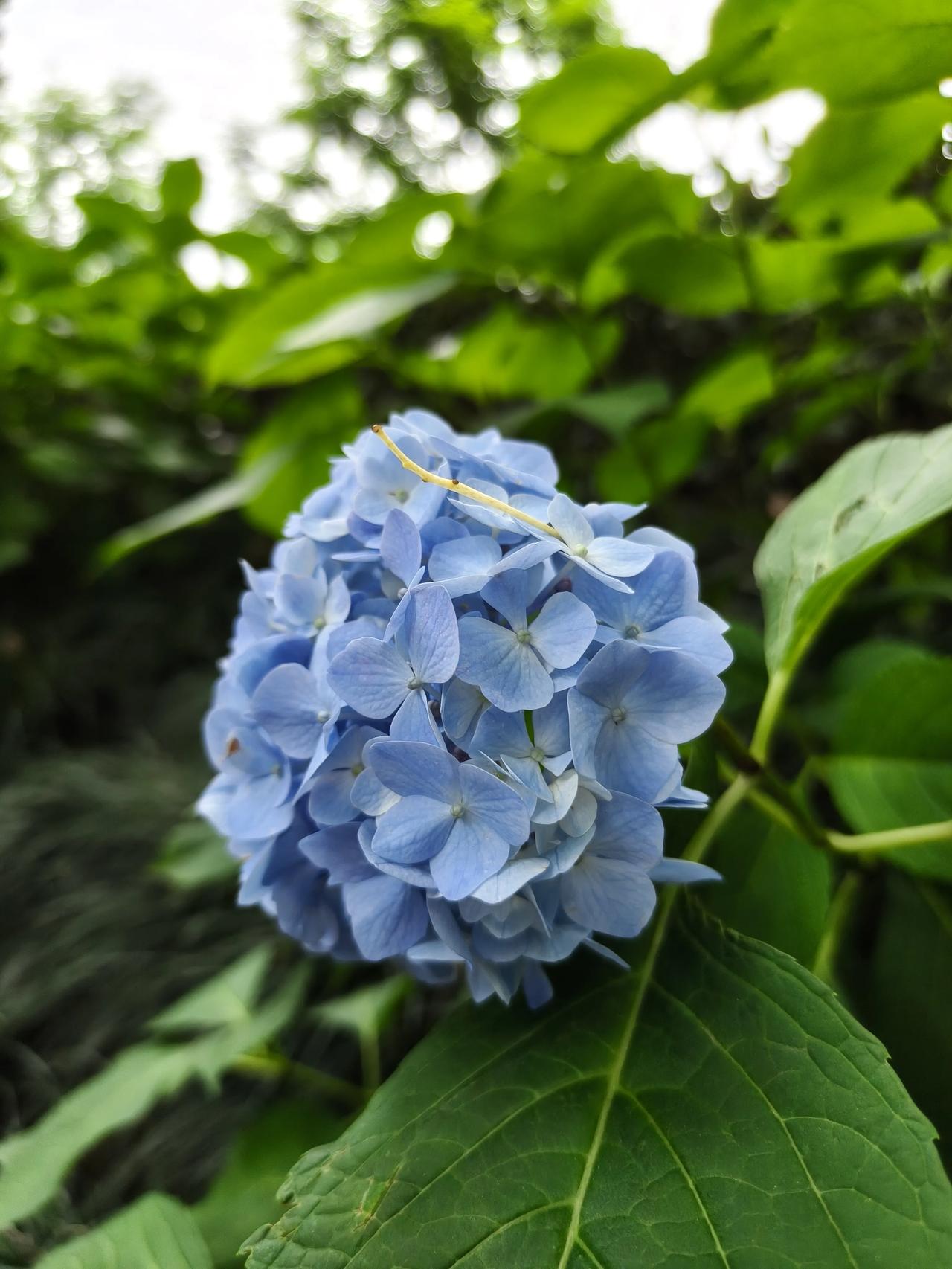 记。｜告别五月，行至深夏

“在喜欢的状态里，去更新自己的生活，做你自己，熠熠闪