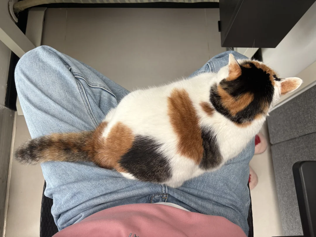 腿麻了，要不要推下去？！