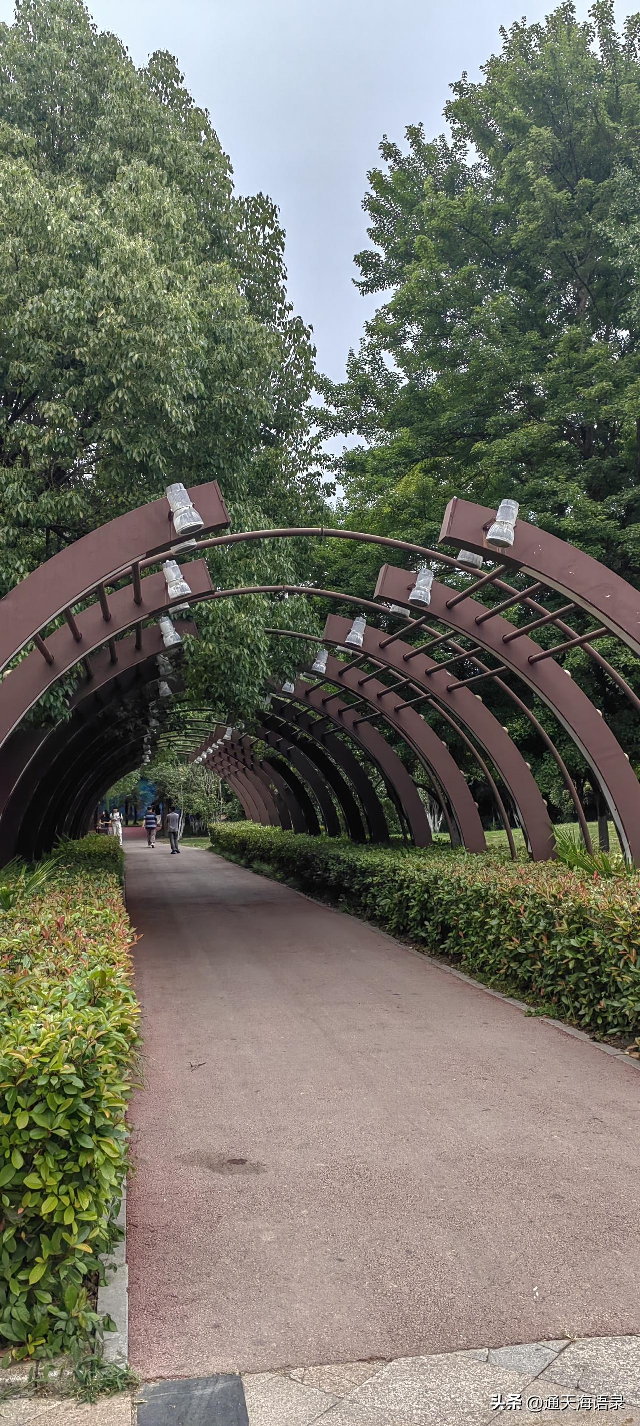 晒图笔记大赛夏日清凉好去处，公园里古树遮日，湖水清凉，坐在长条椅子上，欣赏绽放的