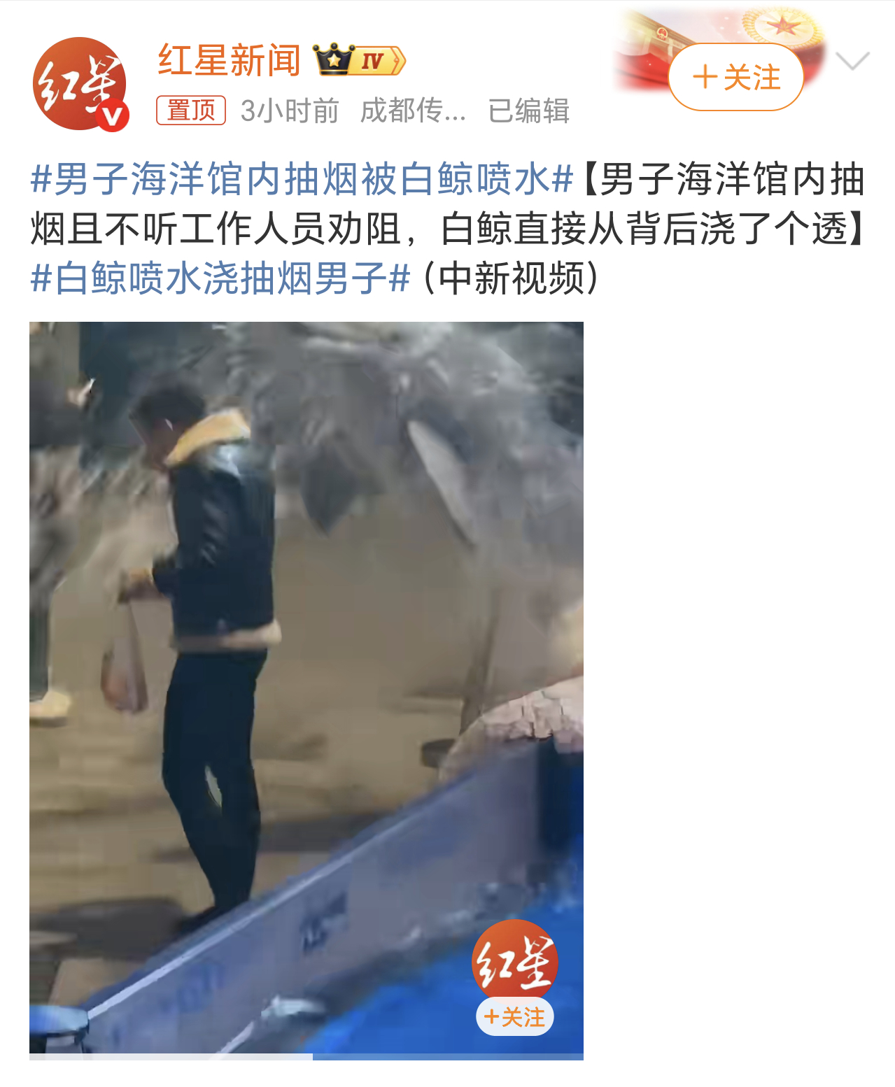 男子海洋馆内抽烟被白鲸喷水白鲸这智商真的可以，只能说干的漂亮