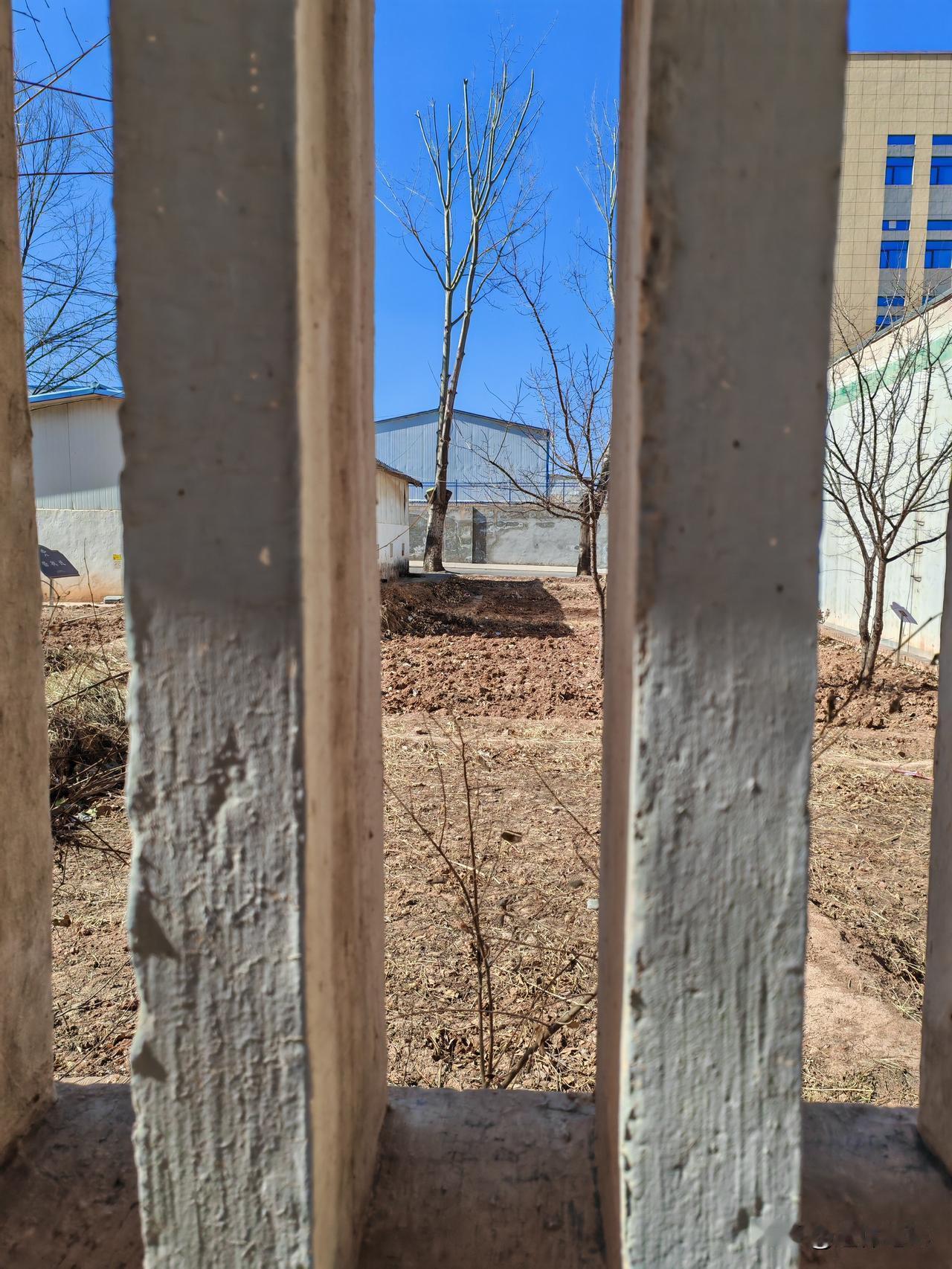 晒图笔记大赛通过晒图也能够体会出自身的心情