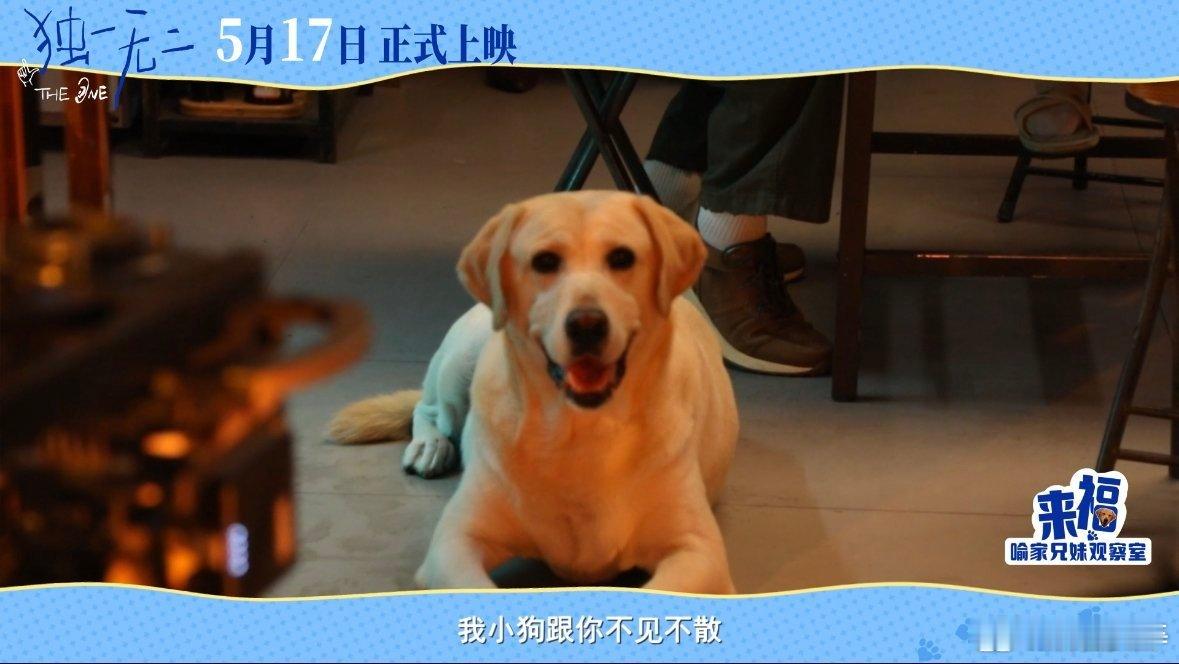 喻家兄妹的青春太真实了看了《独一无二》，妹妹带男同学回家，爸爸举着铁勺，哥哥想偷