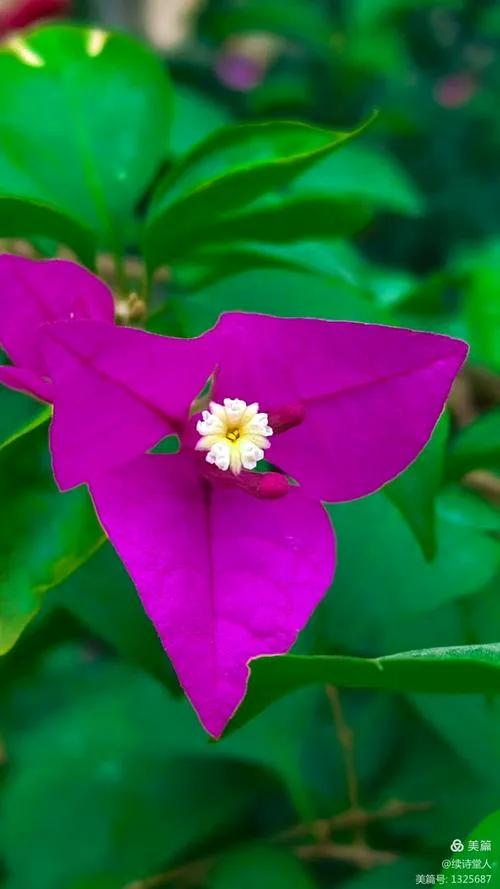 生活中想要开心快乐，首先要学会接受自己。每个人都有优点和缺点，正视自己的不足，同