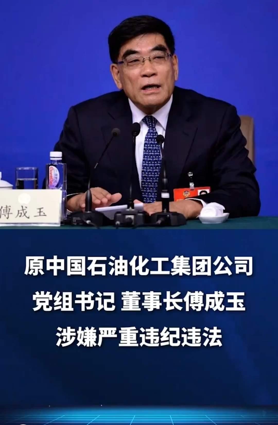 中国石油化工集团原董事长傅成玉被查说明：无论什么人无论身居何位，只要敢贪腐敢违法