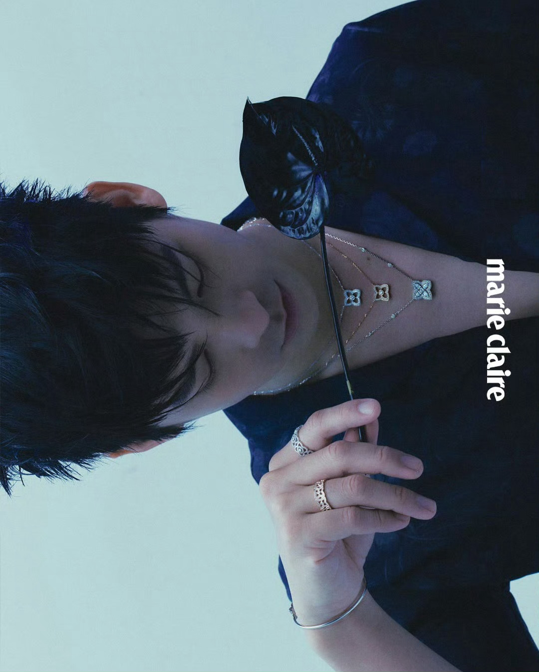 林柏宏  中国台湾版Marie Claire 新期封面人物，佩戴着DeBeers