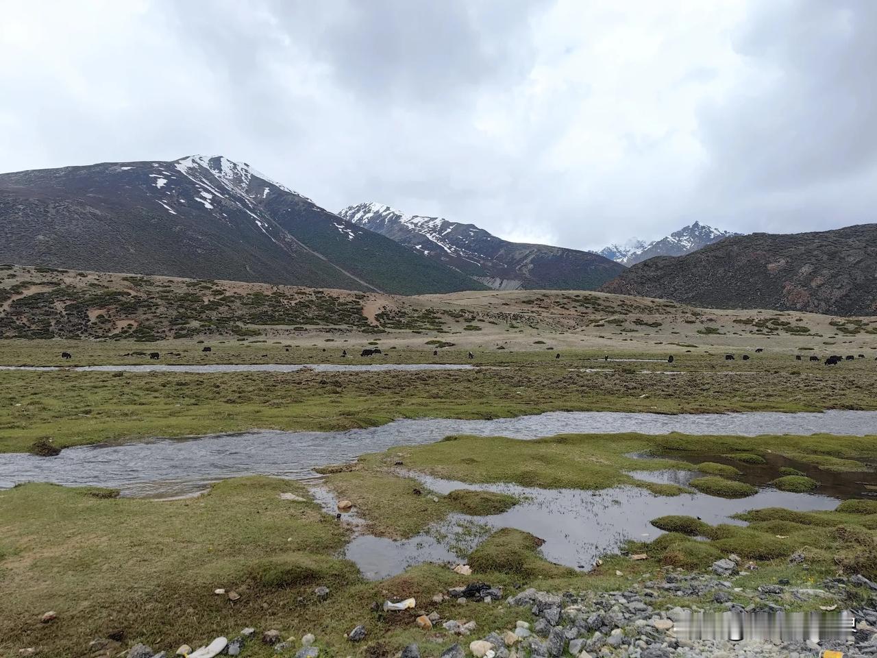如果你想要领略这片神秘而美丽的土地，自驾车是一种绝佳的方式。本篇旅行攻略将为你详